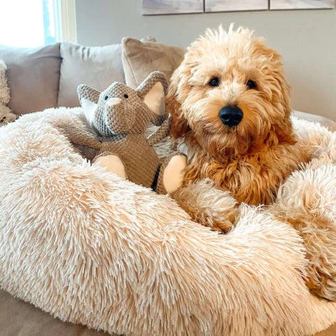 Cama para Cães e Gatos Confortável e Respirável Nuvem Pet