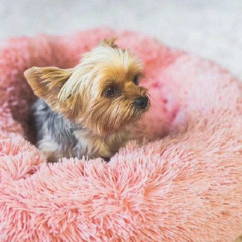 Cama para Cães e Gatos Confortável e Respirável Nuvem Pet