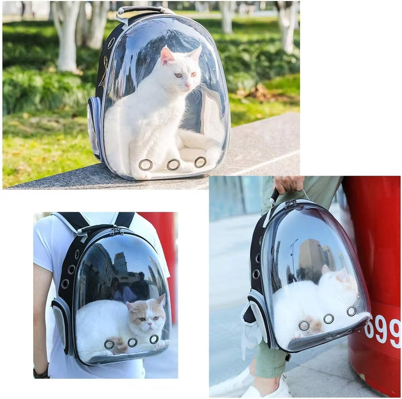 Mochila Transparente para Transporte de Pets Pequenos PetCapsule